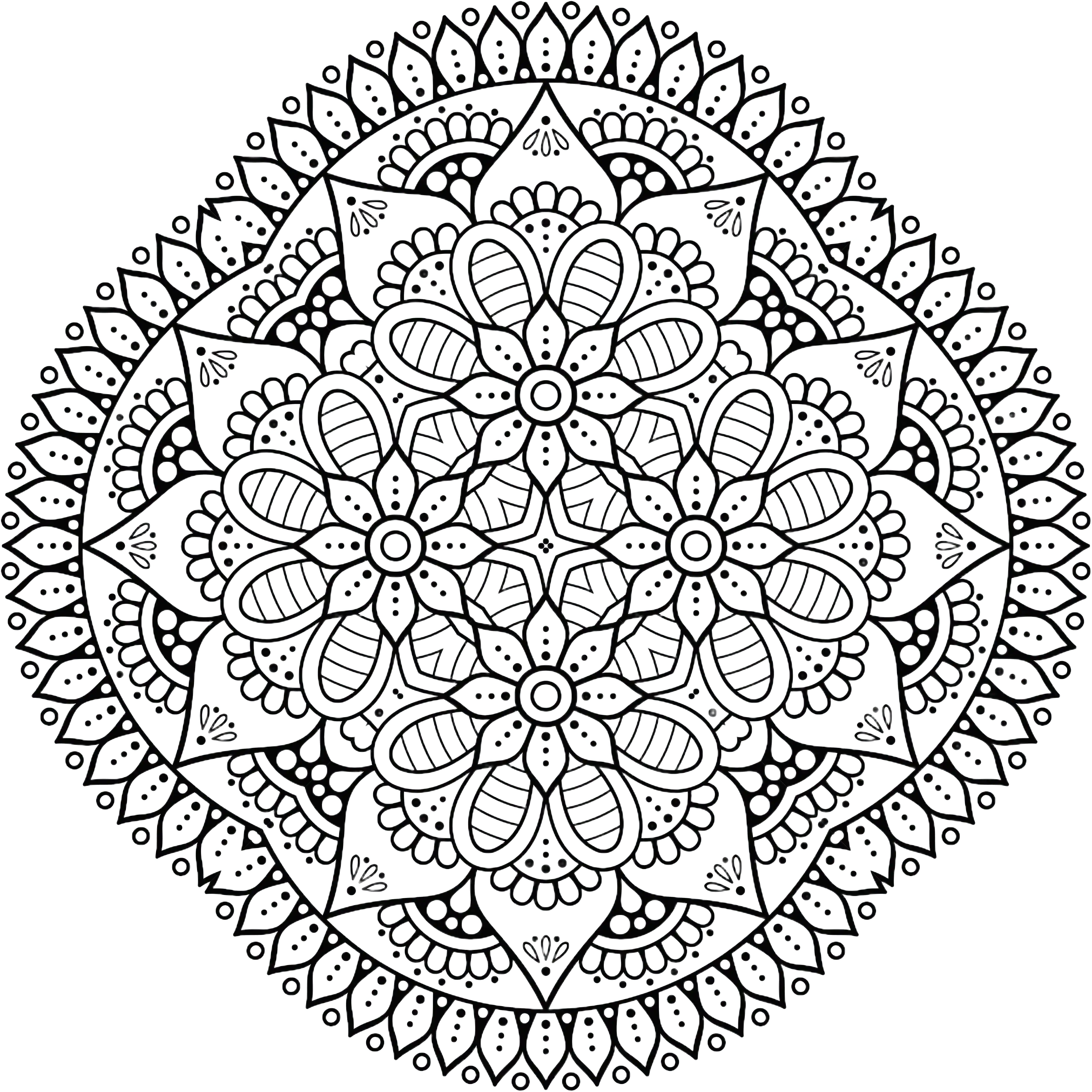 Mandala complexe en noir et blanc