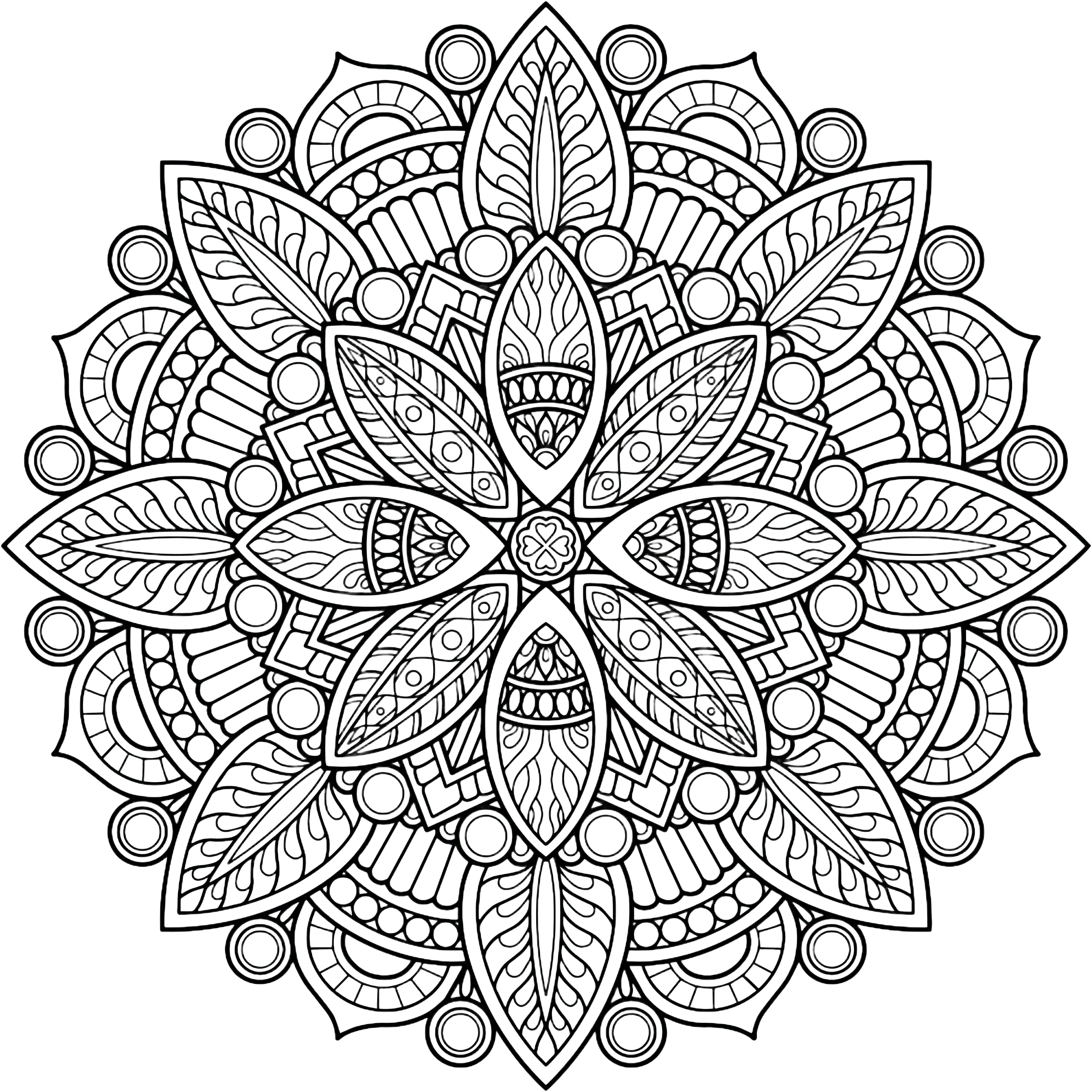 Mandala complexe en noir et blanc